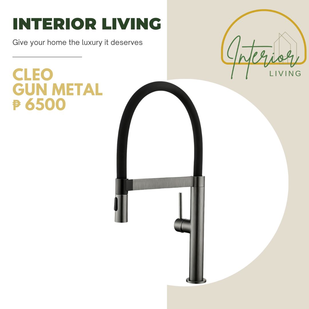 Cleo Gun Metal Kitchen Faucet