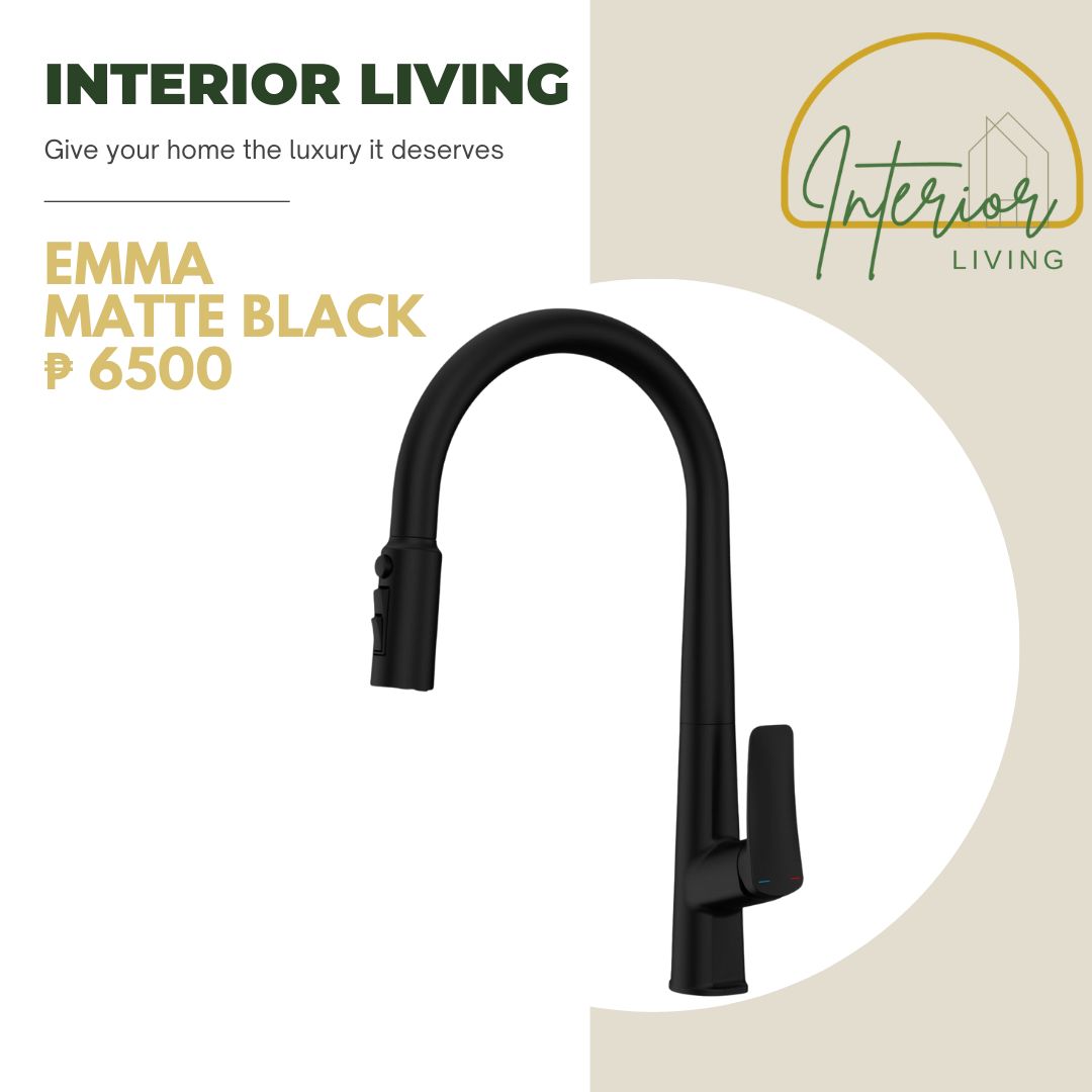Emma Matte Black Pull-Out Kitchen Faucet
