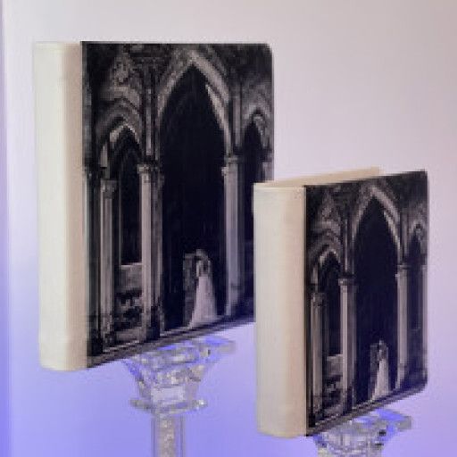 Passaggio albumini 13X18 da 25 pagine a tutte le pagine € 300,00 + iva scontato del 10%