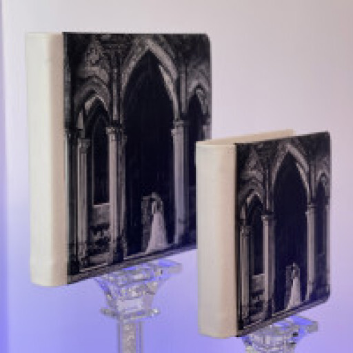 1 Albumino aggiuntivo 17x24 € 240,00 + iva