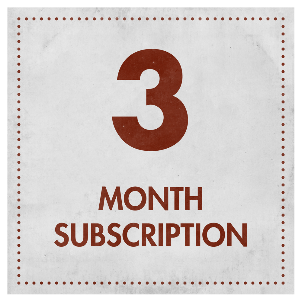 3 Months [4 connections] &amp; 1 Month Backup Service [1 connection]