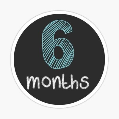 6 Months [4 Connections]