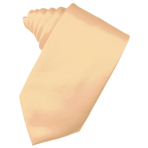 Apricot Luxury Satin Necktie - Cardi