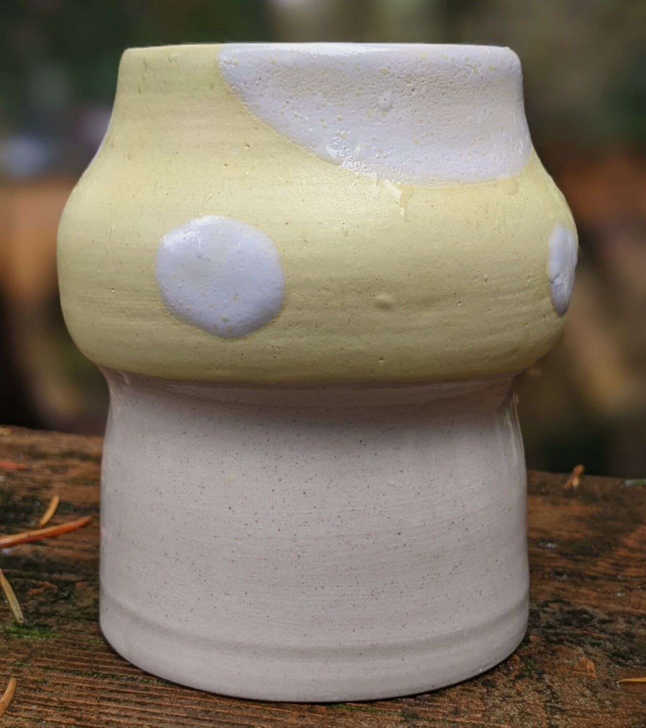 Yellow toadstool