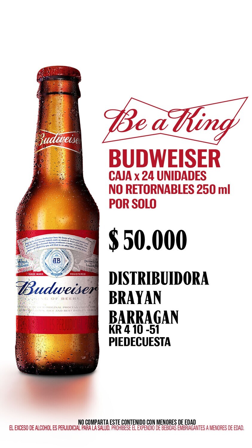 Budweiser botella 260 x 24