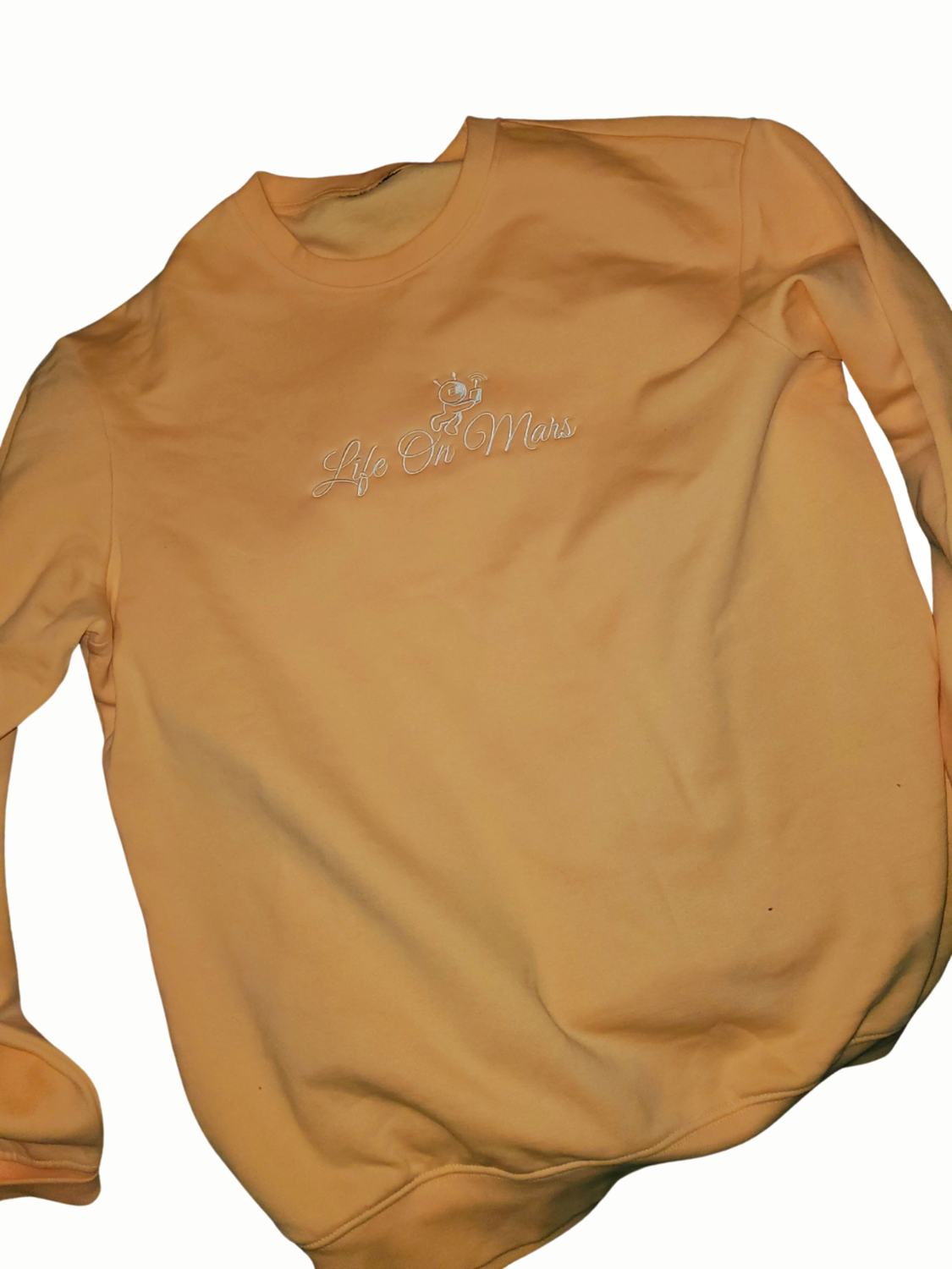 Life On Mars (Embroidered Hoodie)