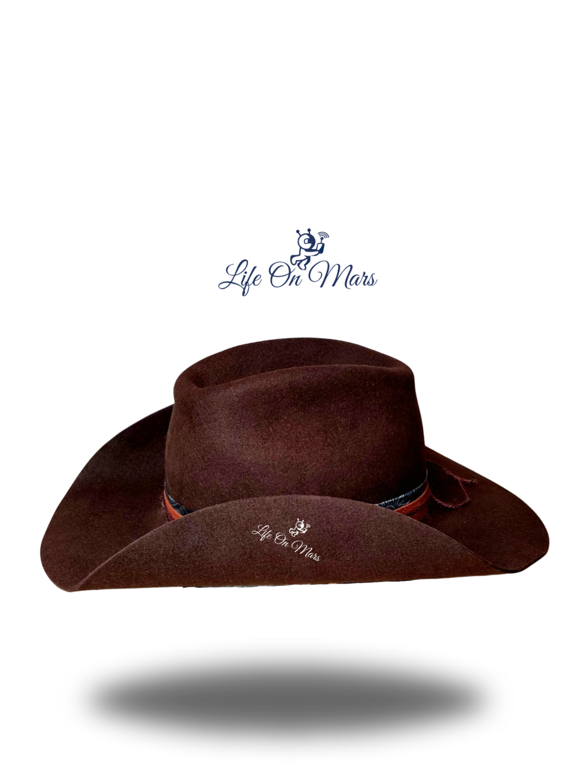 &quot;The Last Cattlemen&quot;