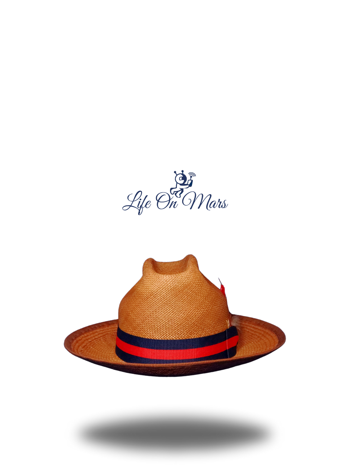 &quot;The Last Cattlemen&quot;