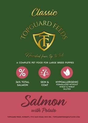 Salmon & Potato Dog Food for Large Breed Puppies