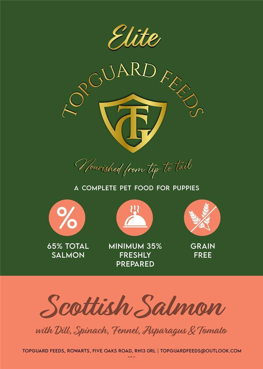 Scottish Salmon with Dill, Spinach, Fennel, Asparagus & Tomato Dog Food for Puppies