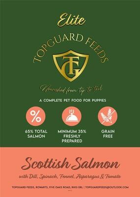 Scottish Salmon with Dill, Spinach, Fennel, Asparagus & Tomato Dog Food for Puppies