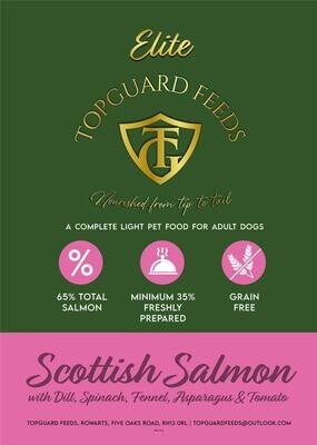 Light Scottish Salmon with Dill, Spinach, Fennel, Asparagus & Tomato Dog Food For Adult Dogs