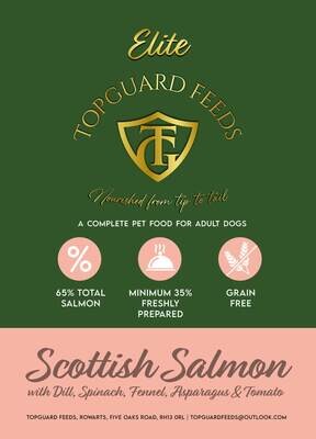 Scottish Salmon with Dill, Spinach, Fennel, Asparagus & Tomato Dog Food for Adult Dogs