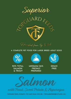 Salmon with Trout, Sweet Potato & Asparagus complete dog food for Large Adult Dogs