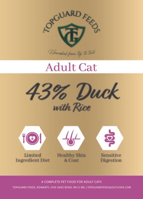 Adult - Duck with Rice