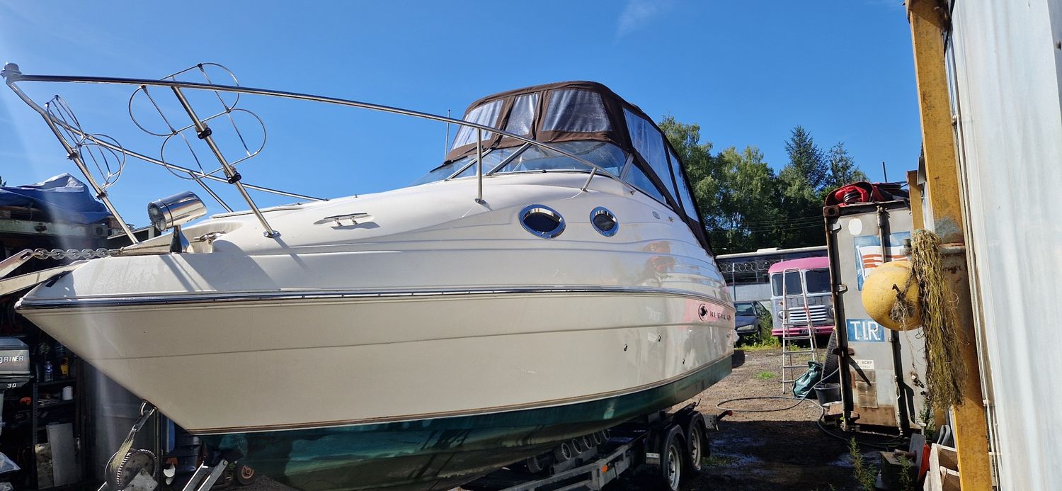 Regal commodore 2465 sports cruiser