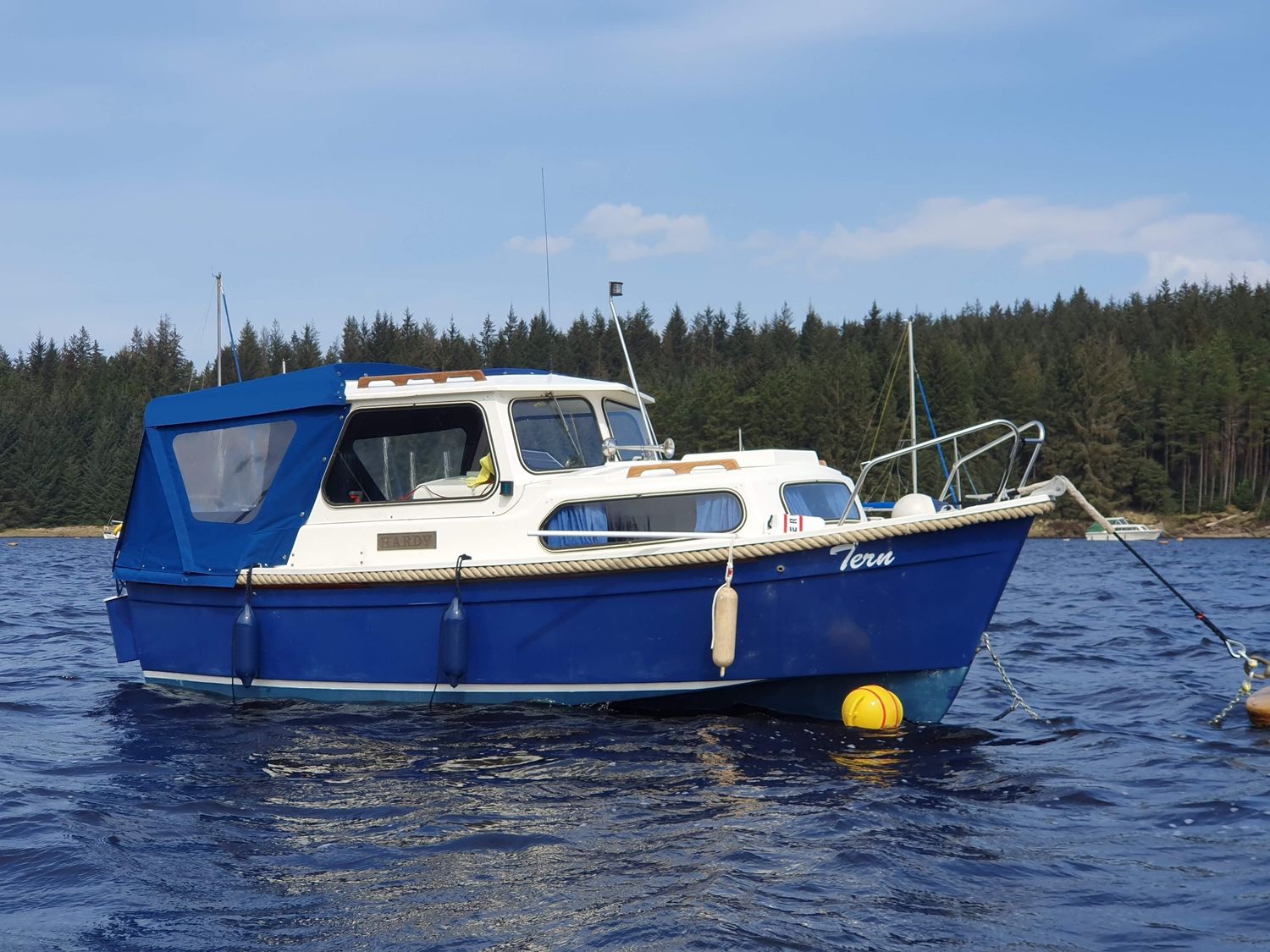 Hardy 18 fisherman 15 hp Yamaha
