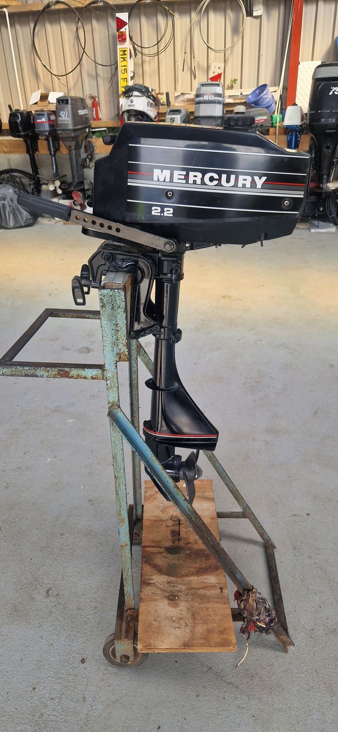 Mercury 2.2 std shaft immaculate