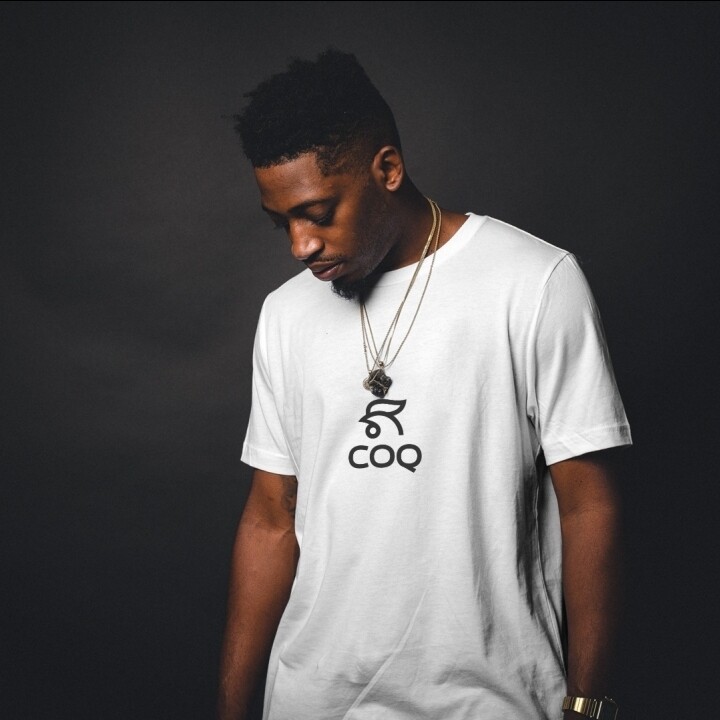 SAMPLE T-shirt
