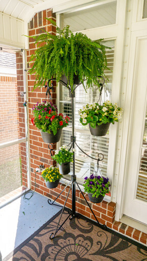 Free Standing Kit with Automatic Watering System