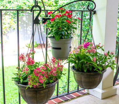 3-Plant Railing and Wall Bracket Kit