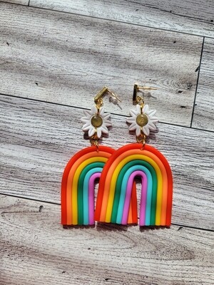 Daisy Rainbow