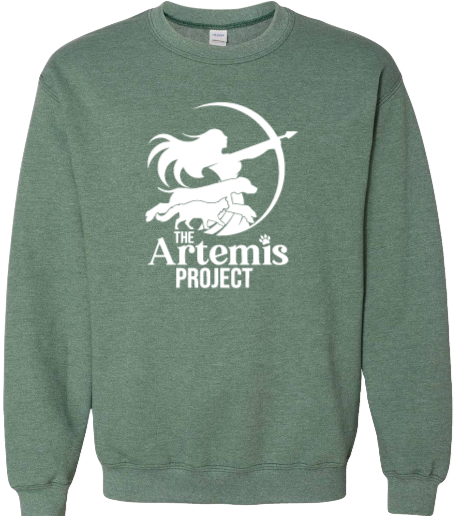 The Artemis Project Logo Tshirt, sweatshirt or hoodie