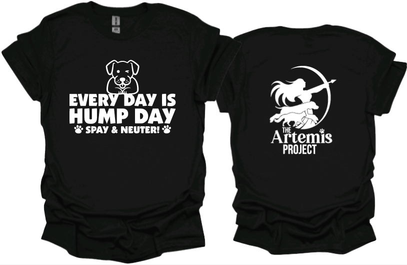 Every Day is Hump Day-Dog
Unisex tshirt or crewneck sweatshirt with The Artemis Project logo on back