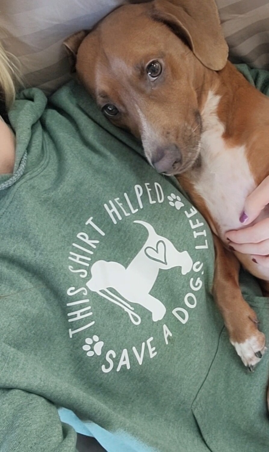This Shirt Helped Saved a Dogs Life 
Unisex Tshirt, sweatshirt or hoodie