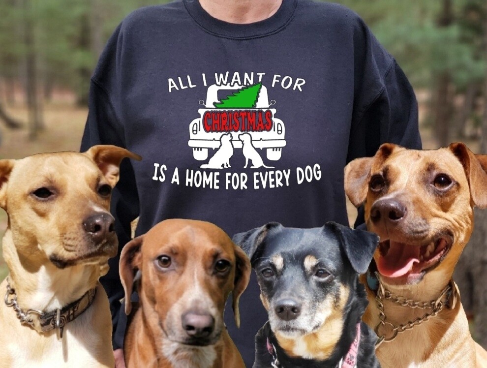 All I want for christmas is a home for every dog
Unisex Tshirt, Sweatshirt or Hoodie