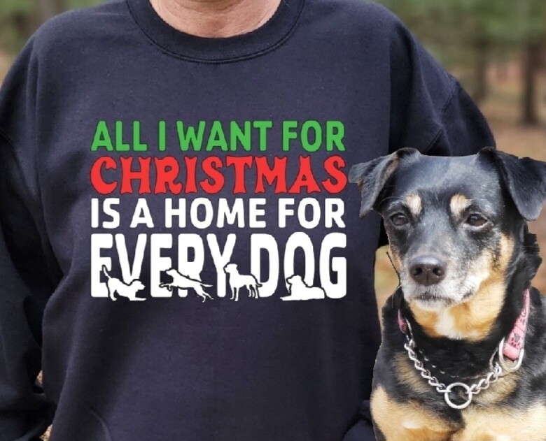 All I want for Christmas is a home for every dog unisex tshirt or sweatshirt 