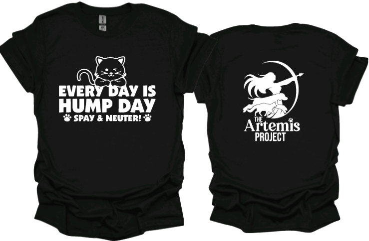 Every Day is Hump Day-Cat
Unisex tshirt or crewneck sweatshirt with The Artemis Project logo on back