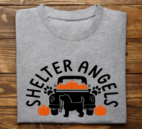 Shelter Angels Fall  Tshirt, sweatshirt or hoodie
