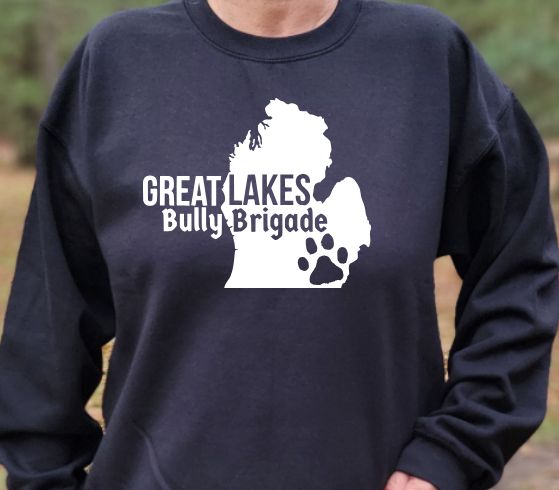 Great Lakes Bully Brigade Unisex Tshirt, sweatshirt or hoodie