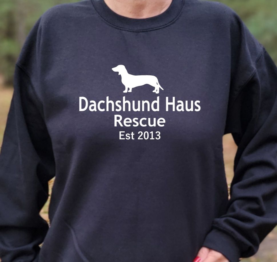 Active volunteer/foster christmas gift from DHACR