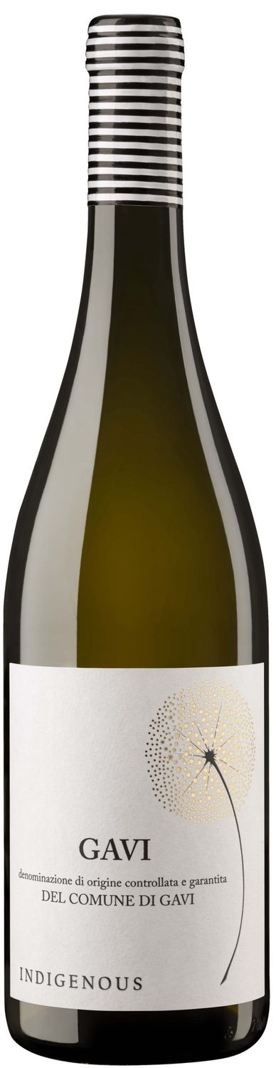 Indigenous Gavi di Gavi