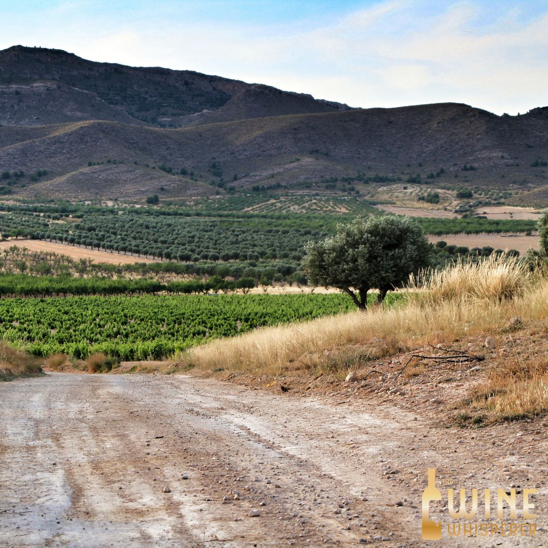 Wine Class: The Rain in Spain...