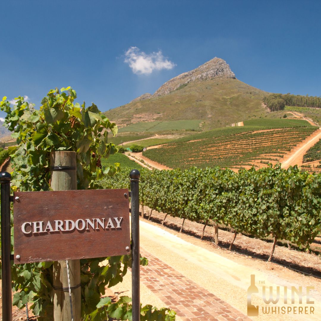 Collector&#39;s Tasting: Chardonnay
