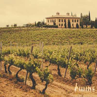 Wine Class: A Day Trip from Barcelona
