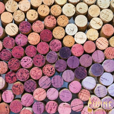 Wine Class: Warm vs. Cool Climate Wines