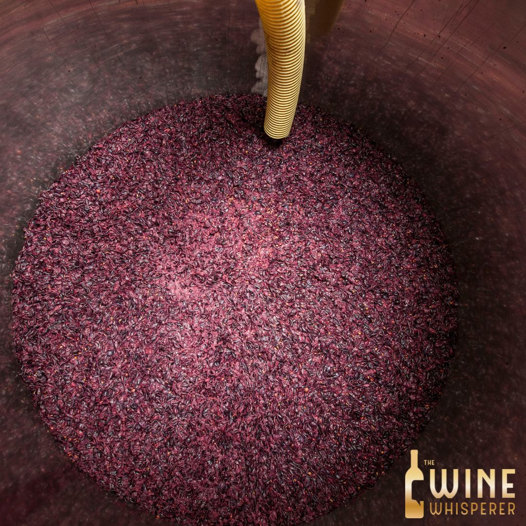 Collector&#39;s Tasting: Merlot