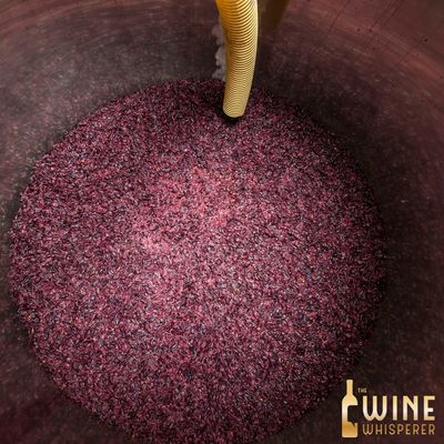 Collector&#39;s Tasting: Merlot