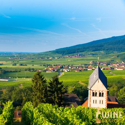 Wine Class: Amazing Alsace