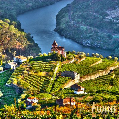 Collector&#39;s Tasting: Dao and Douro
