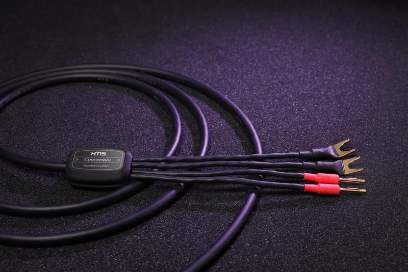 Concertato LS HMS Concertato LS HMS