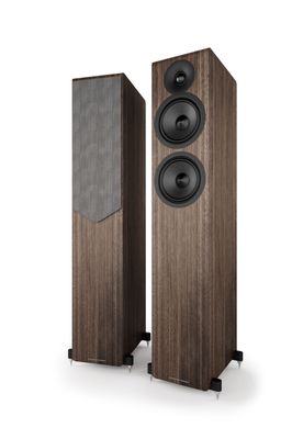 AE 309² Standlautsprecher Acoustic Energy