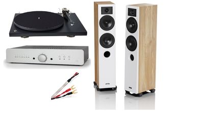 Einsteiger Hifi Anlage mit Schallplattenspieler