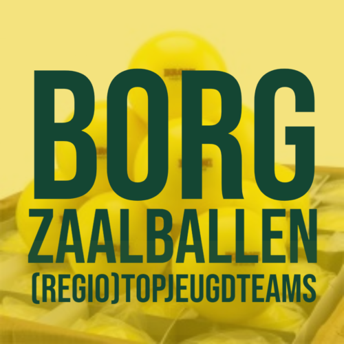 Borg Zaalballen 2025-2026