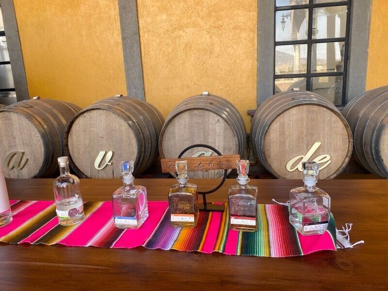 UNA CAVA DE ORO (6 personas)