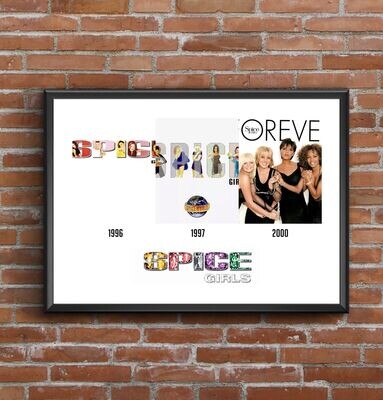 Spice Girls  Discography Print